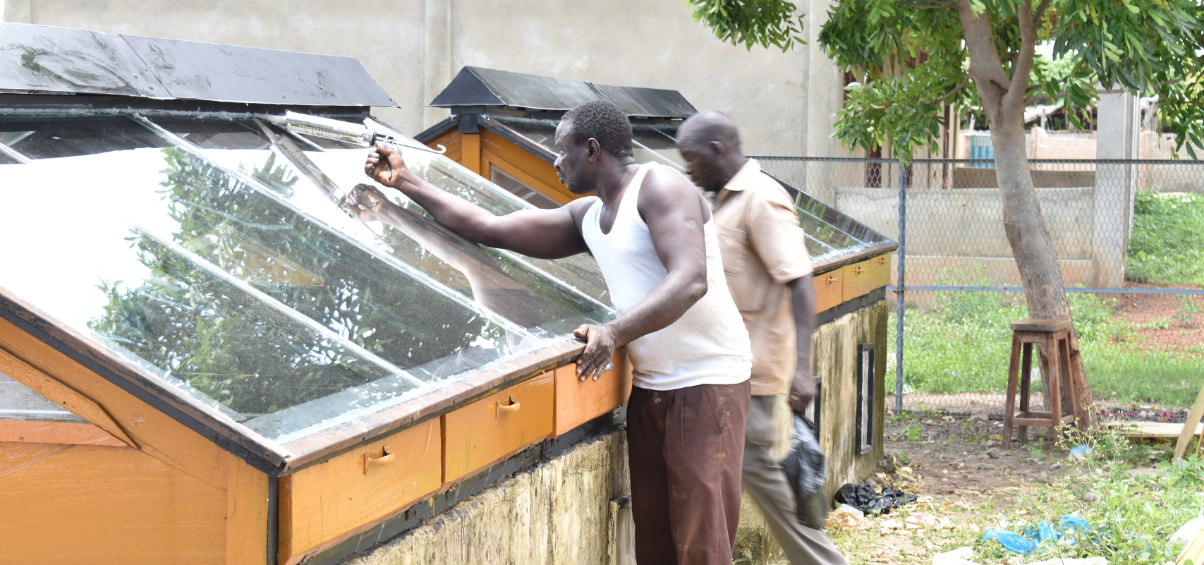 Entreprendre dans l’Agroalimentaire : Les Clés pour Réussir avec l’Aide du CIFEA